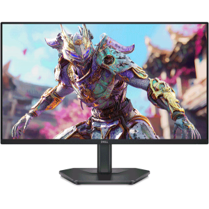 Монітор DELL SE2426HG (210-BTTF)