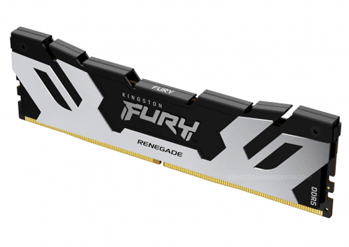 Модуль пам’яті Kingston Fury Renegade Silver 16GB (1x16) DDR5 6800 MHz (KF568C36RS-16)