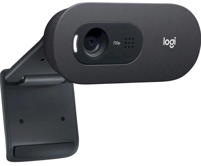 Веб-камера Logitech C505e HD (960-001372)